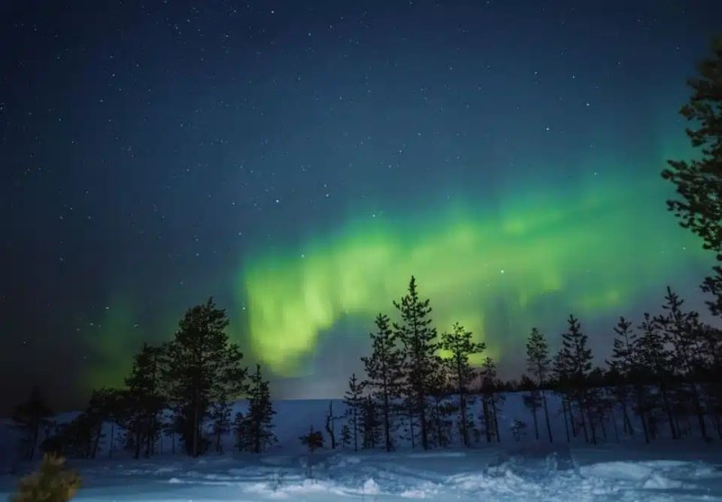 Rovaniemi Aurora Tour
