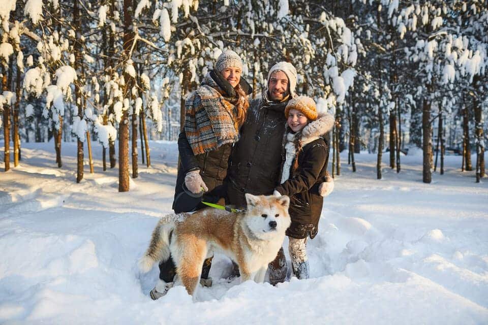 Husky Ride Rovaniemi 2026