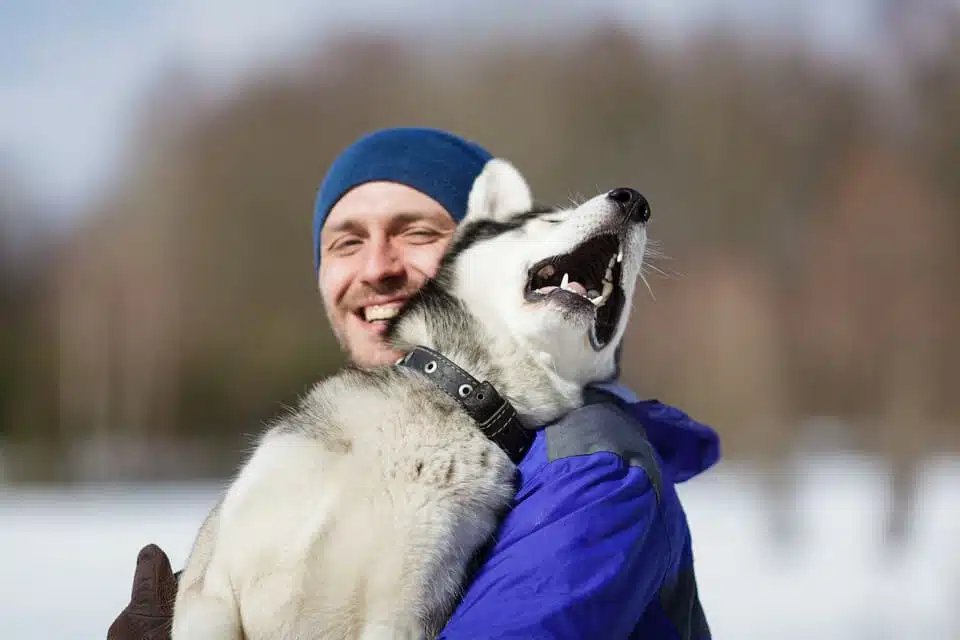 Husky Ride Rovaniemi 2026