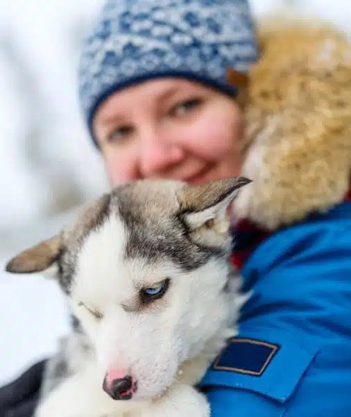 Husky Ride Rovaniemi 2026