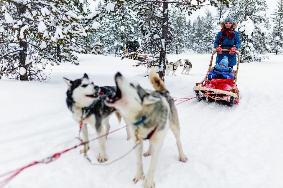 Husky Ride Rovaniemi 2026