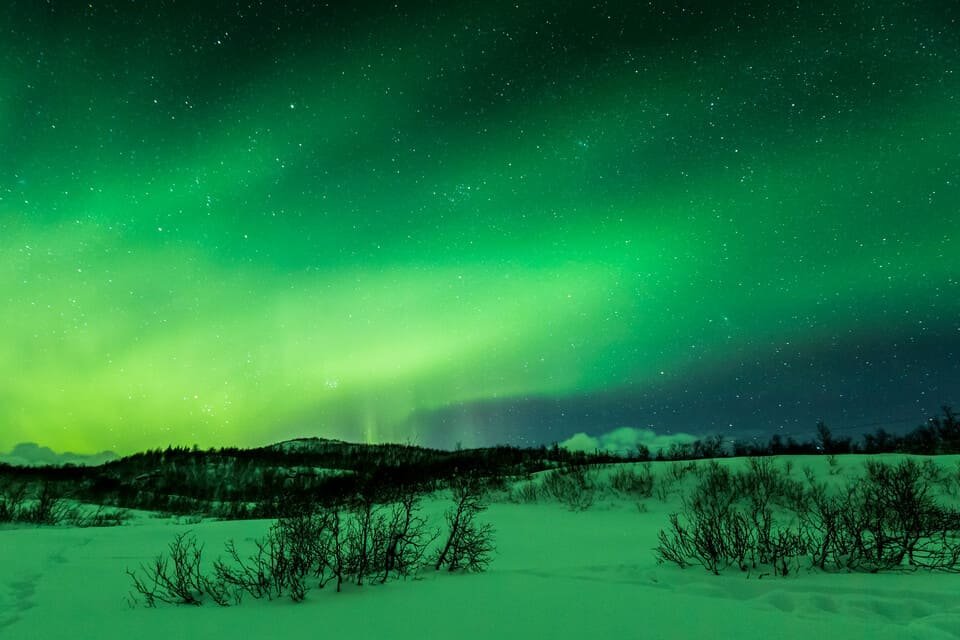 Rovaniemi Aurora Tour 2026