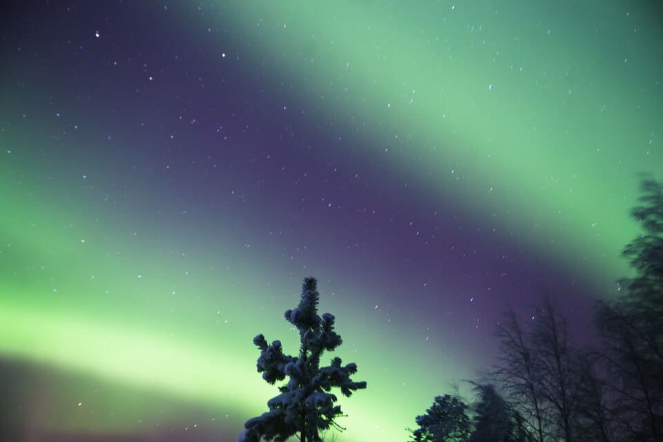 Rovaniemi Aurora Tour 2026