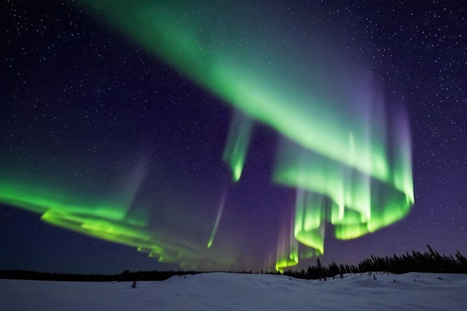Rovaniemi Aurora Tour