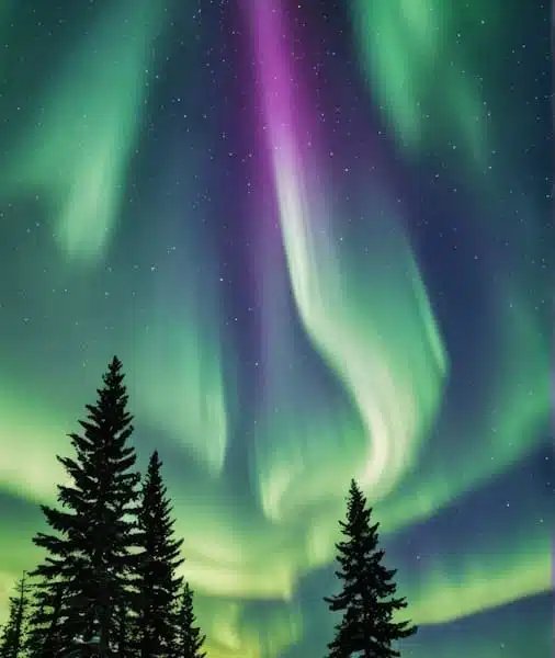 Rovaniemi Aurora Tour 2026