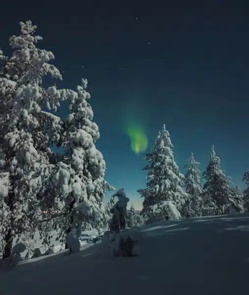 Rovaniemi Aurora Tour 2026